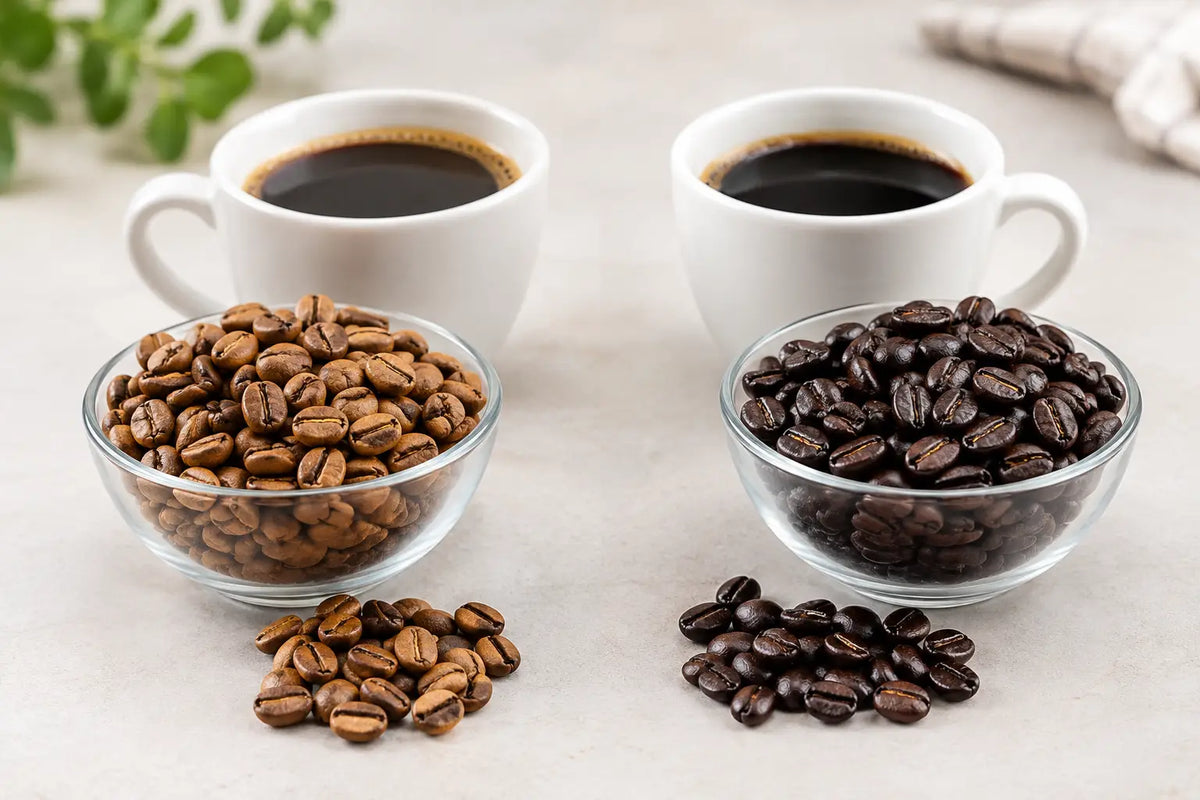 Light Roast Versus Dark Roast: Which Fits You?