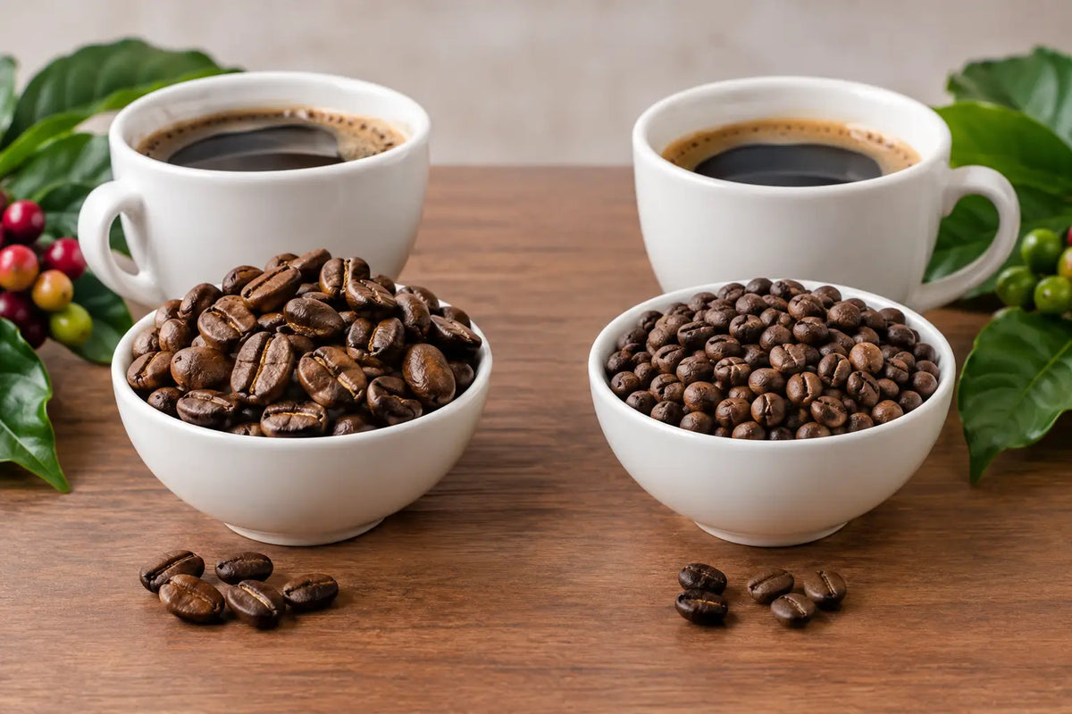 Arabica Versus Robusta: Which Coffee Fits You?